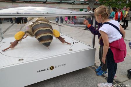 Čebela velikanka potuje po Kamniku (33)